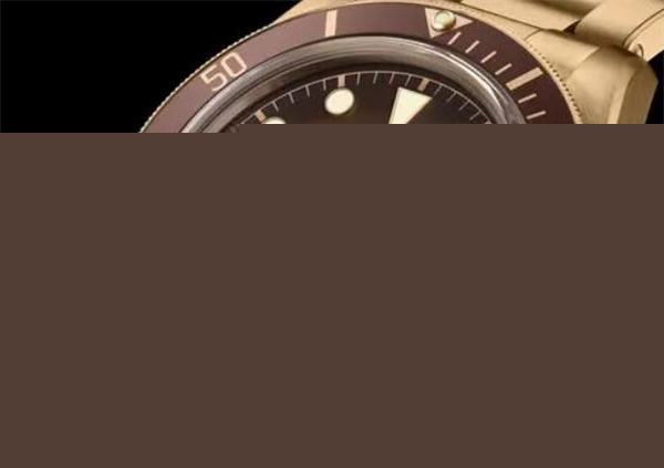 2026年8月天津东丽区帝舵表维修保养咋整？找客服唠嗑最新服务攻略！（图）